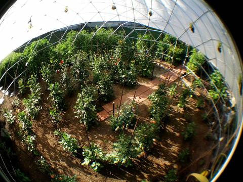 Geodesic Dome Greenhouse: Benefits of Growing Your Own Food