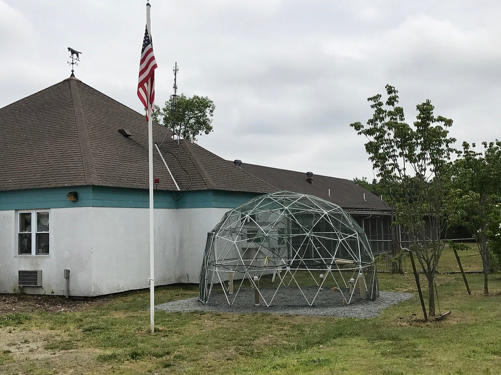 Featured Build: Eagle Scout Animal Shelter