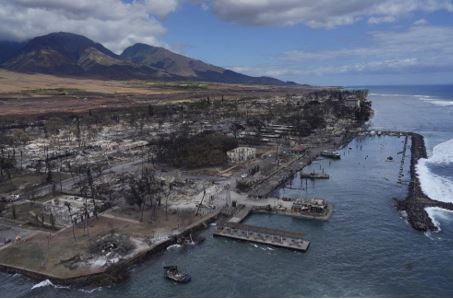Maui - After the Fires