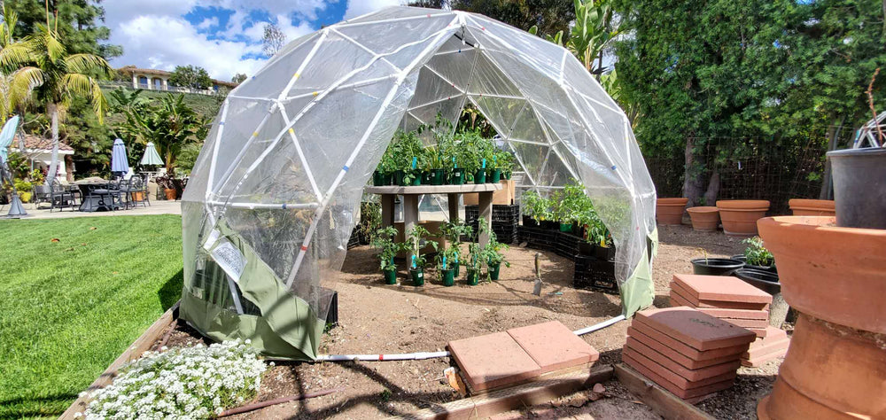 Growing plants in a Sonstar Bubble Dome Greenhouse.