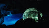 Standard Bubble Dome 1/2 Inch PVC Hub + Cover Kits